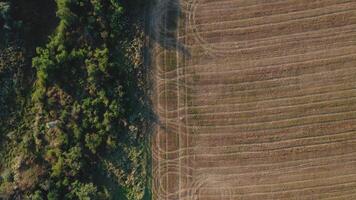 Aerial view of field and woodland highlighting agricultural patterns and natural features video