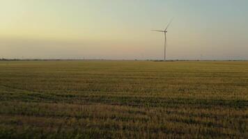 Aerial view of a windmill in rural mowed fields on a beautiful summer evening. Windmills in rural fields generating renewable energy in the summer. video