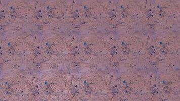 A pink and blue wallpaper with many small dots video