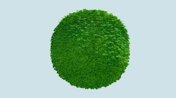 A green bush on a blue background video
