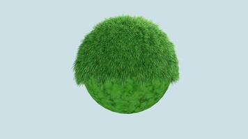 An image of a green egg with a furry head video