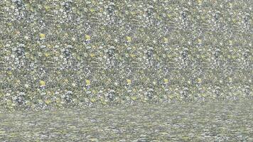 A large flower pattern on the floor with a yellow and white background video