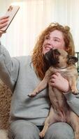 Young Caucasian redhead woman holds pug dog and takes selfie on home sofa with happy expression and smile. Girl enjoys bonding moment with lovely pet, posing with dog in cozy apartment interior. video