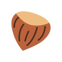 Hazelnut. Autumn nut. illustration. vector