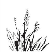 Lily of the valley flowers vector