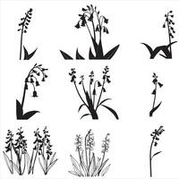 Various black and white flowers and plants vector