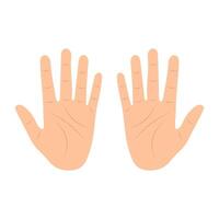 Cartoon Human Hands Palms Up Illustration. Left and right hands with visible palm lines, fingers fully extended and thumbs spread apart. vector