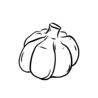 Hand-drawn garlic line art illustration, isolated on a clean white background. Perfect for spice themed designs, recipe books, or children educational coloring pages vector