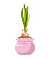 Plant in a pink pot with green leaves vector