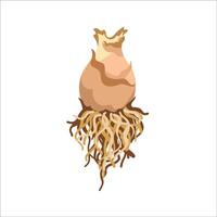 Bulb with roots illustration vector