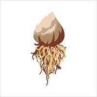 Seed with roots illustration vector