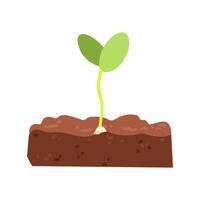 Seedling growing from soil vector