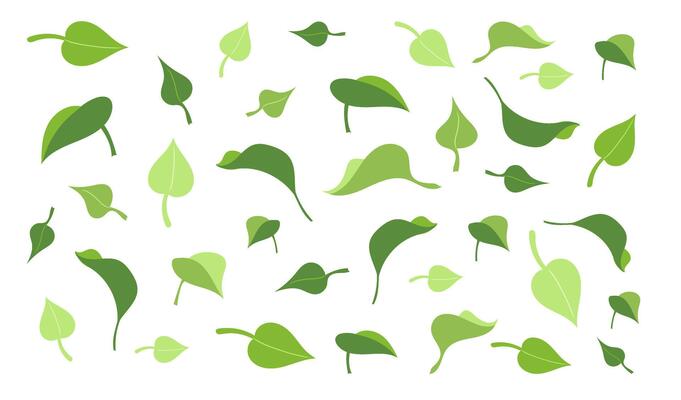 Hand drawn seamless pattern background with flat leaves of tea, basil, lemon, mint or lilac bush, Nature ecology abstract texture, green leaf for print, fabric, packaging design ,wallpaper