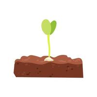 Seedling sprouting from the soil vector