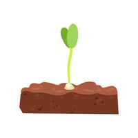 seedling sprouting from soil vector