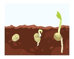 Seedlings growing in brown soil vector