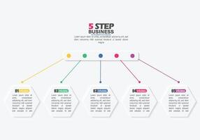 5 Step Business Infographic Data vector