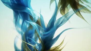 Beautiful plumes sway gently in a soft breeze, creating a calming visual with golden and blue hues. video
