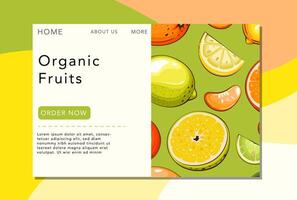 Assorted organic fruits for sale vector
