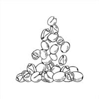 Falling beans into pile monochrome hand painted illustration. Meatless healthy food. Lotus nuts or lupin beans graphic sketch for packaging healthy snack, protein product label, nutrition blog vector