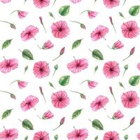 Pink flower pattern on white background vector