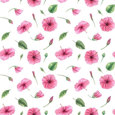 Watercolor pink Chinese rose flowers seamless pattern isolated background. Hand painted tropical hibiscus illustration for birthday gift decor, beauty packaging, summer romantic design