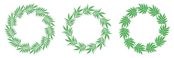 Set of tropical style wreaths made of bamboo and palm leaves. Hand-drawn green frames for summer design, jungle decor, or eco packaging. vector