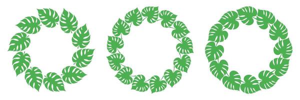 Collection of hand-drawn circular frames made of monstera leaves. Tropical green wreaths for summer projects, branding, or eco design. vector