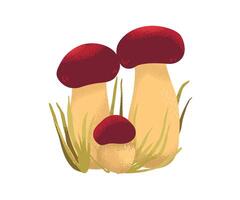 Colorful mushrooms in the grass vector
