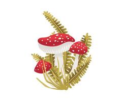 Red mushrooms with ferns illustration vector