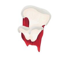 Mushroom illustration with unique texture vector
