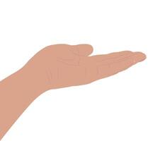 Drawn palm. Simple flat illustration. vector