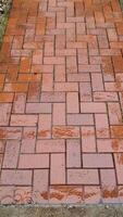 Rainfall cascading over textured brick pathway, generating mesmerizing water ripples and glistening reflections across paved surface. video