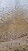 Pristine water softly washing over sandy shoreline, revealing peaceful natural landscape with gentle ripples and calm, serene waterfront scenery. video