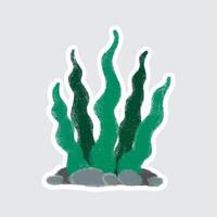 Seaweed Cute sea animals in crayon style for stickers, icons, logos, etc. vector