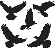 four black silhouettes of birds flying in different positions vector