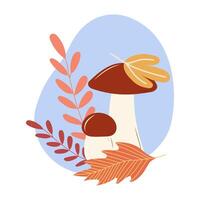 Edible mushrooms orange cap boletus and autumn leaves. Autumn harvest and gifts of the forest. illustration. vector