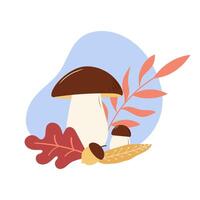 Edible cep mushroom and autumn leaves. Autumn harvest and gifts of the forest. illustration. vector