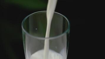 Pouring milk into a glass on blurred nature background. Glass of fresh milk. video