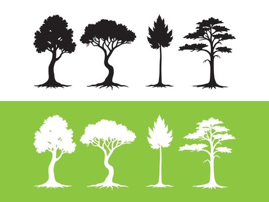 Four Silhouettes of Trees with Visible Roots on White and Green Backgrounds
