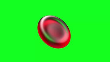 Microscopic View of Red Blood Cells with Green Screen video