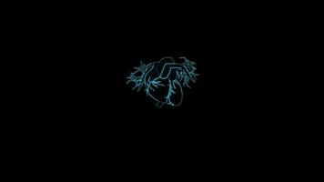 Glowing Human Heart Animation with Black Background video