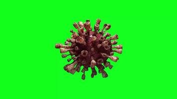 Microscopic View of Cells with Green Screen video