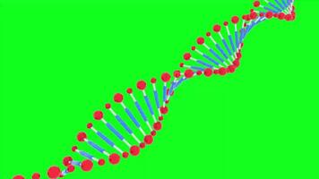 DNA Structure Animation with Green Screen video