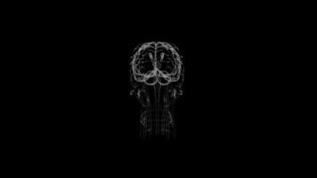 3d brain animation with Black Background video