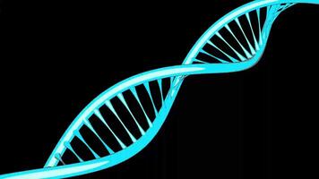 DNA Structure Animation with Black Screen video