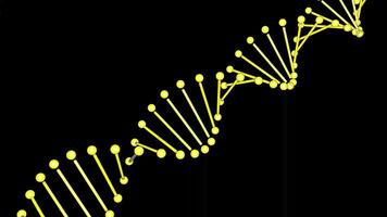 Animated Model of DNA with Black Screen video
