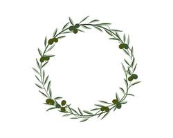 green olive and creeping leaves as floral frame on white background vector