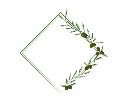 green olive graphic in diamond shape frame on background