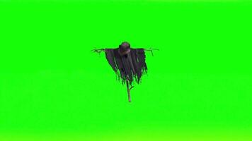 Animated Scarecrow Against Green Screen Backdrop Spooky Halloween Theme Rural Farm with Straw and Dark Cloth video